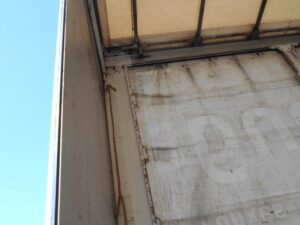 DSCN5549.jpg