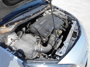 DSCN5808.jpg