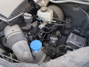 PXL_20260108_112527984.jpg
